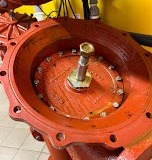 IMG_3430